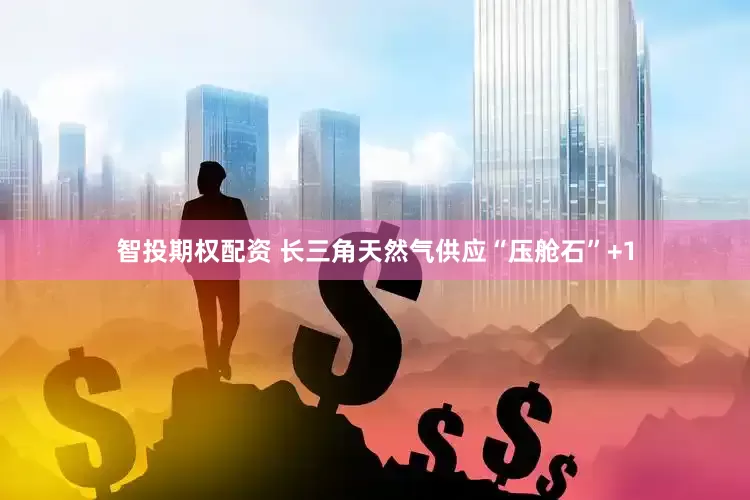 智投期权配资 长三角天然气供应“压舱石”+1