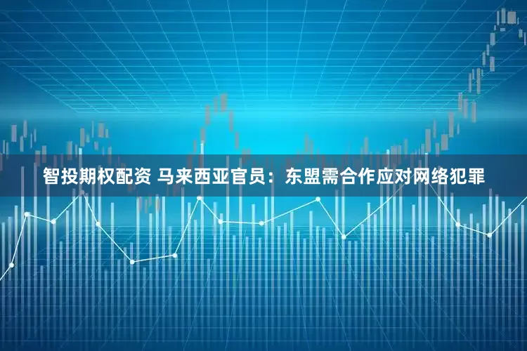智投期权配资 马来西亚官员：东盟需合作应对网络犯罪