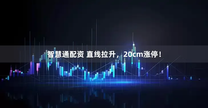 智慧通配资 直线拉升，20cm涨停！