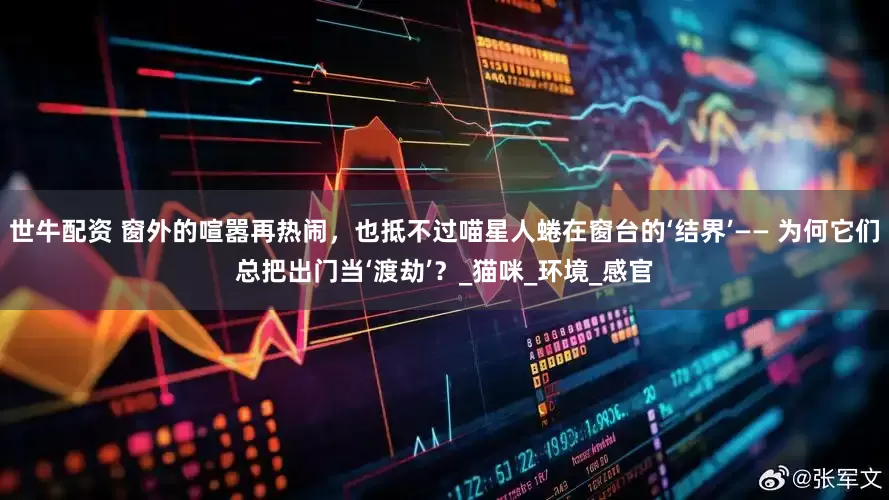 世牛配资 窗外的喧嚣再热闹，也抵不过喵星人蜷在窗台的‘结界’—— 为何它们总把出门当‘渡劫’？_猫咪_环境_感官