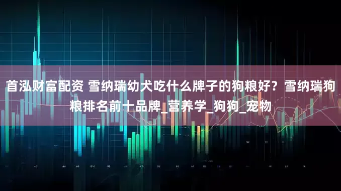 首泓财富配资 雪纳瑞幼犬吃什么牌子的狗粮好？雪纳瑞狗粮排名前十品牌_营养学_狗狗_宠物