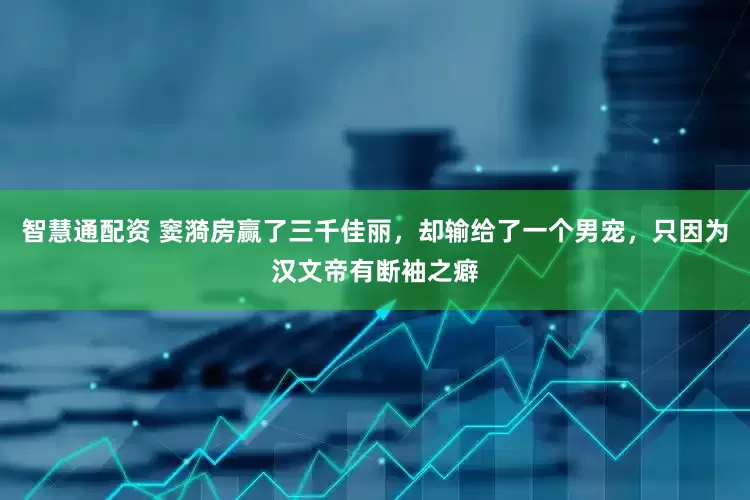 智慧通配资 窦漪房赢了三千佳丽，却输给了一个男宠，只因为汉文帝有断袖之癖